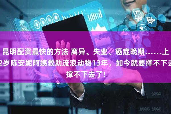 昆明配资最快的方法 离异、失业、癌症晚期……上海62岁陈安妮阿姨救助流浪动物13年，如今就要撑不下去了!