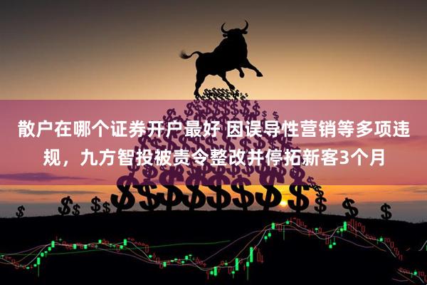 散户在哪个证券开户最好 因误导性营销等多项违规，九方智投被责令整改并停拓新客3个月