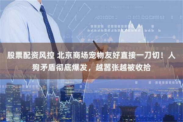 股票配资风控 北京商场宠物友好直接一刀切！人狗矛盾彻底爆发，越嚣张越被收拾